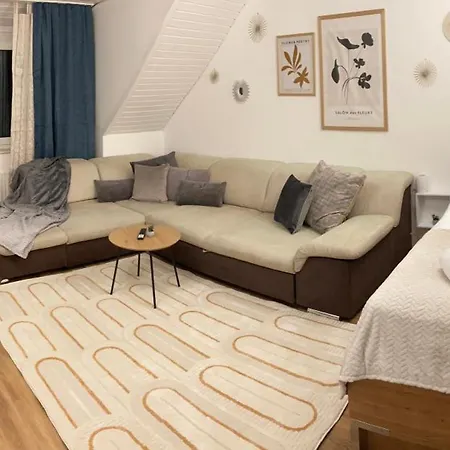 Apartment Anjas I Zentral I 81 Qm Stilvolle Geraeumige I Parkplaetze Vorhanden *